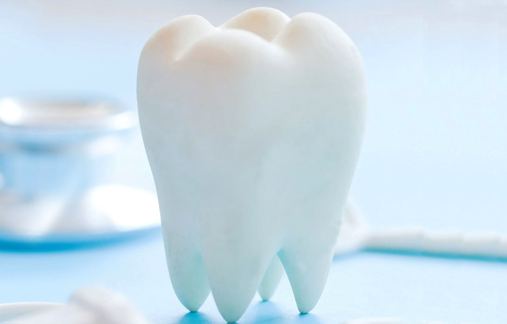 White tooth model on blue dental background representing orthodontic care and dental health treatment.